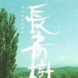 长青树 Disc 1